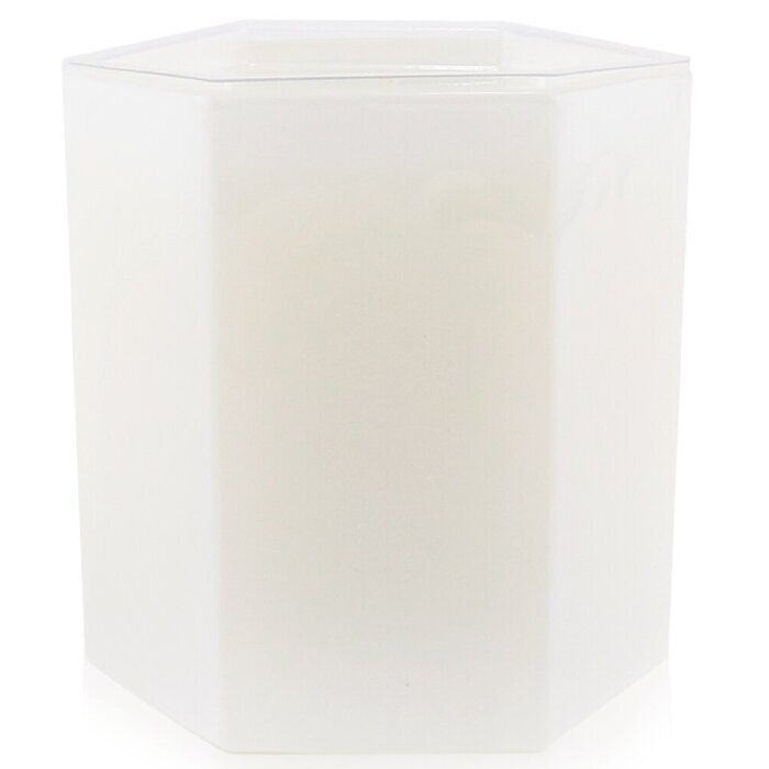 Bougie Antica Farmacista - Feuille de Figuier 255g/9oz