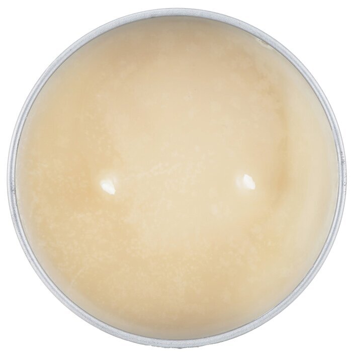 Carroll & Chan 100% Bienenwachs-Dose - Tropischer Wald (8x6) cm