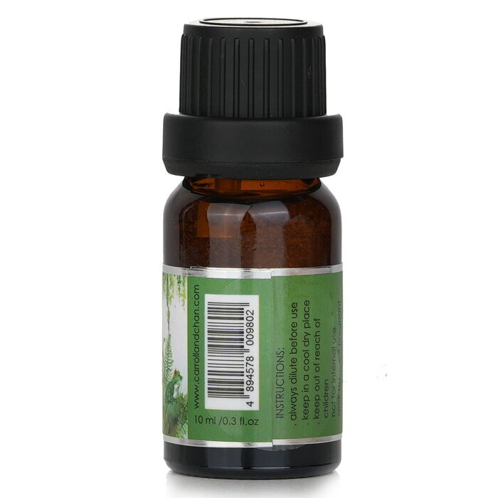 Carroll & Chan Duftöl – Tropischer Wald, 10 ml