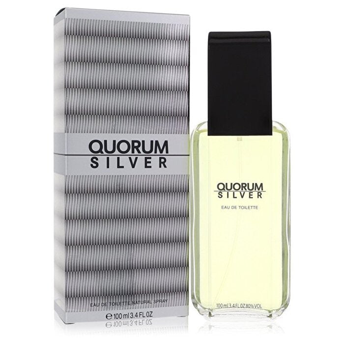 Puig Quorum Silver Eau de Toilette Spray 100 ml/3,4 oz