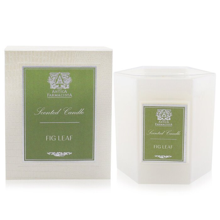 Antica Farmacista Candle - Fig Leaf 255g/9oz