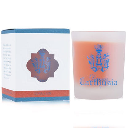 Carthusia Scented Candle - Corallium 70g/2.46oz