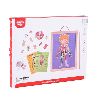 Tooky Toy Co Body Magnetic Chart 30x40x1cm