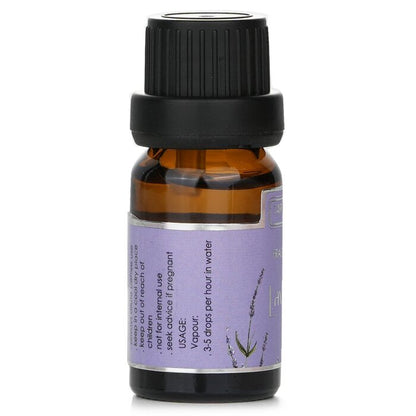 Carroll &amp; Chan Duftöl – Lavendel, 10 ml