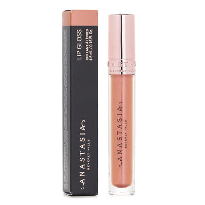 Anastasia Beverly Hills Lipgloss – Pink Ginger 4,5 ml